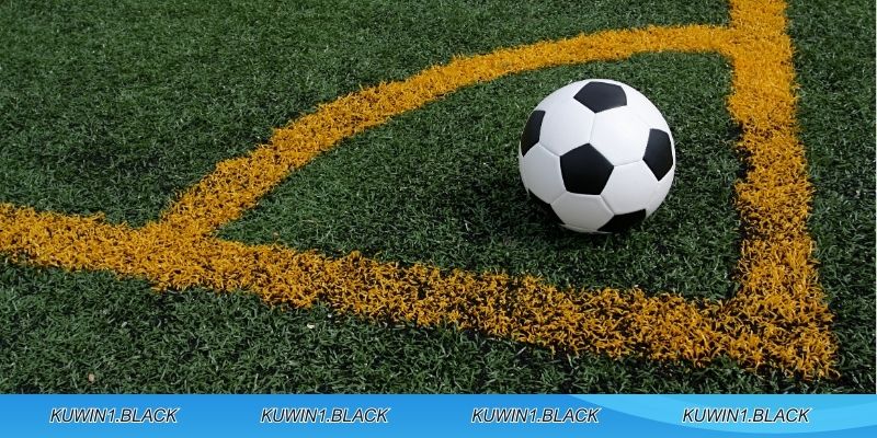 Bật mí cách chơi chuẩn xác